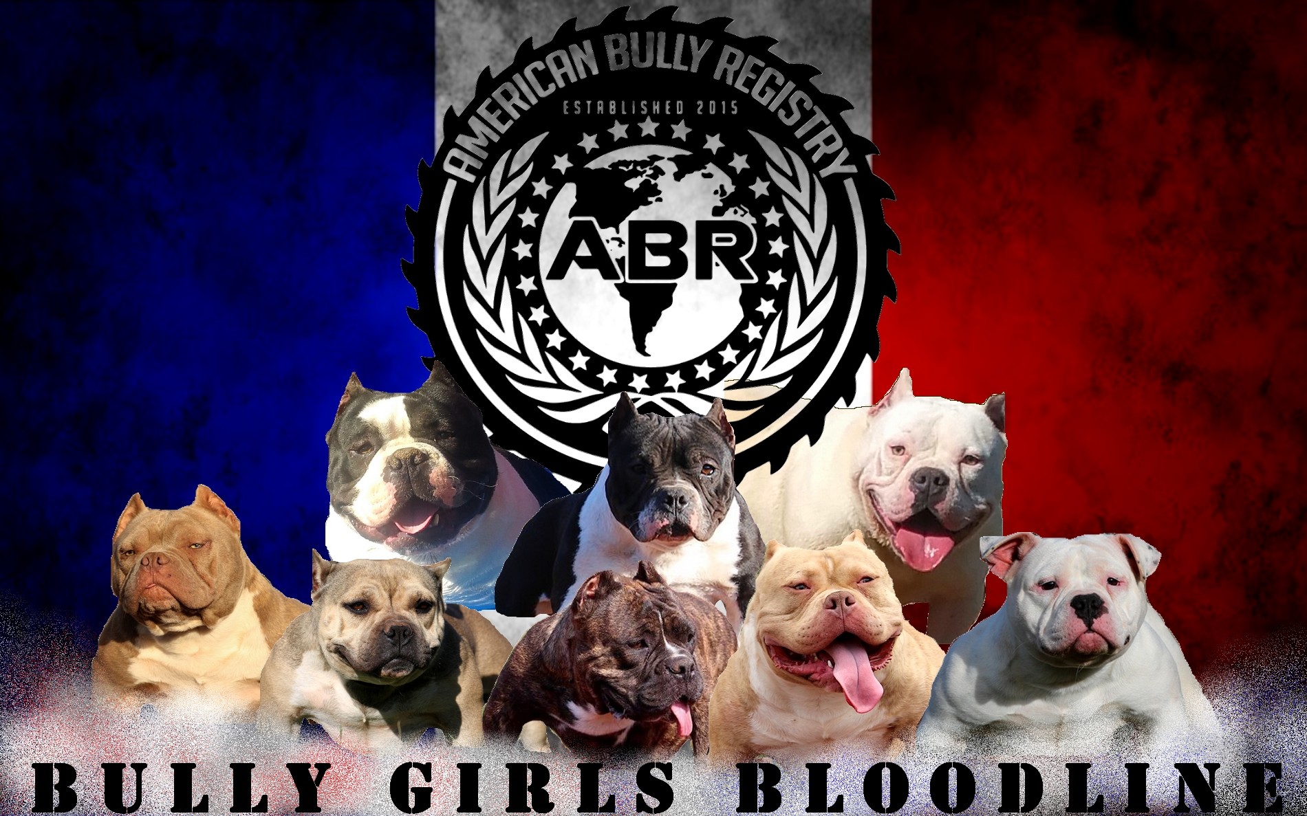 Bully Girls Bloodline