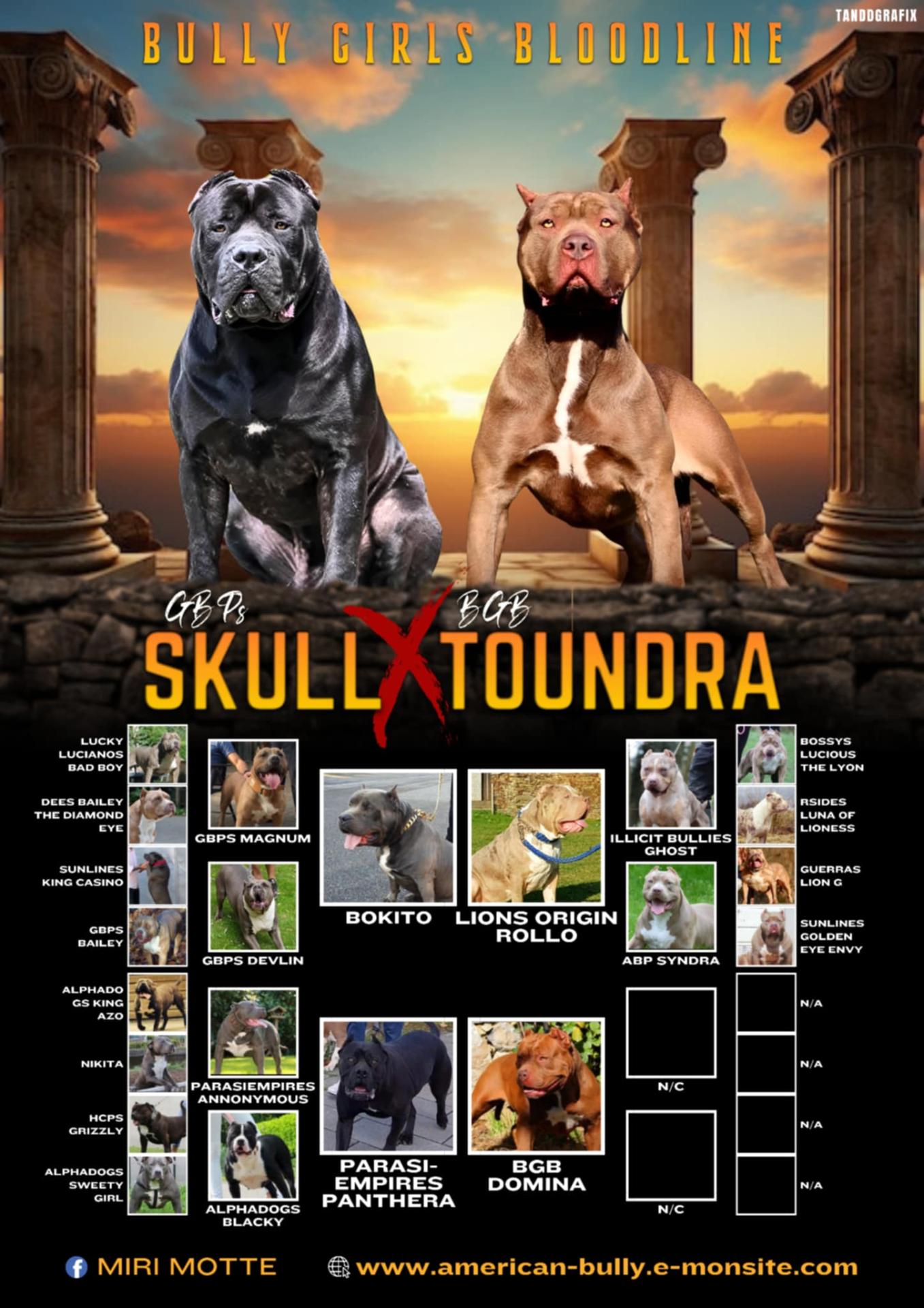 Skull x toundra 1