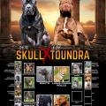 Skull x toundra